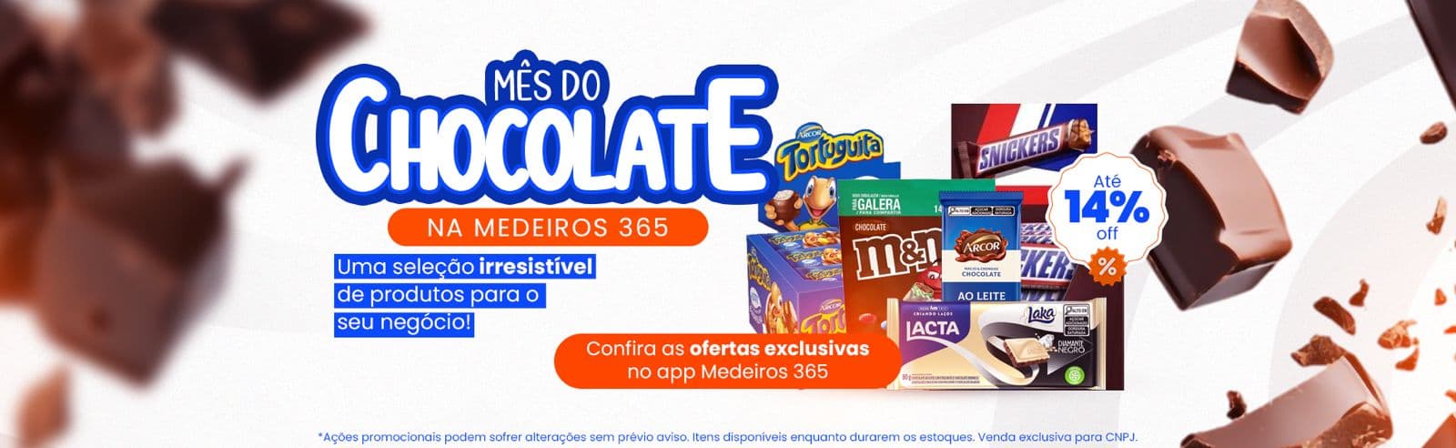 Banner Carnaval